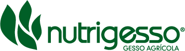 Nutrigesso